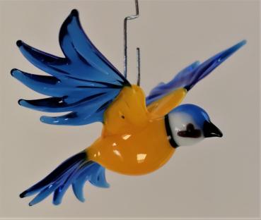 Hängevogel - Blaumeise fliegend -klein